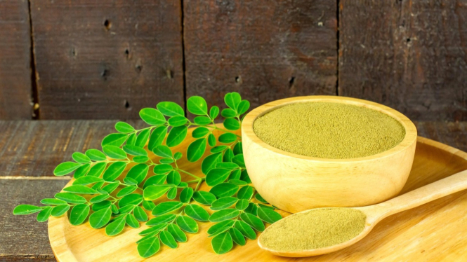 Daun kelor yang kaya nutrisi untuk