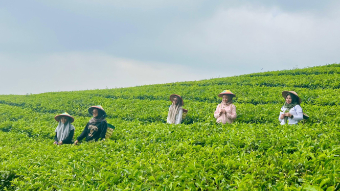 Wisata Agro Wonosari Hadirkan “One Day Trip” Penuh Cerita