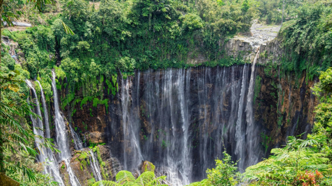 Kemegahan Air Terjun Tumpak Sewu