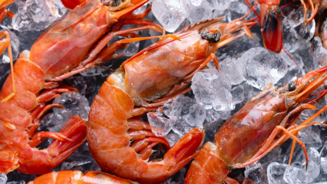 Udang beku tetap segar