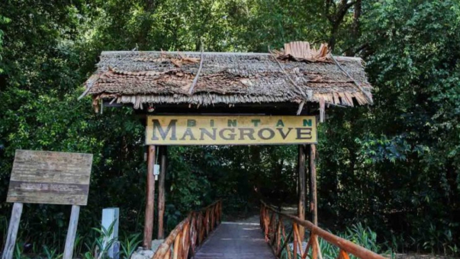 Pintu Masuk ke Kawasan Hutan Mangrove di Bintan, Kepulauan Riau