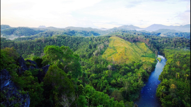 Aliran sungai amandit yang mempesona.