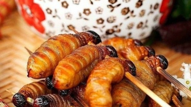 Sate ulat sagu, kuliner ekstrem khas Papua