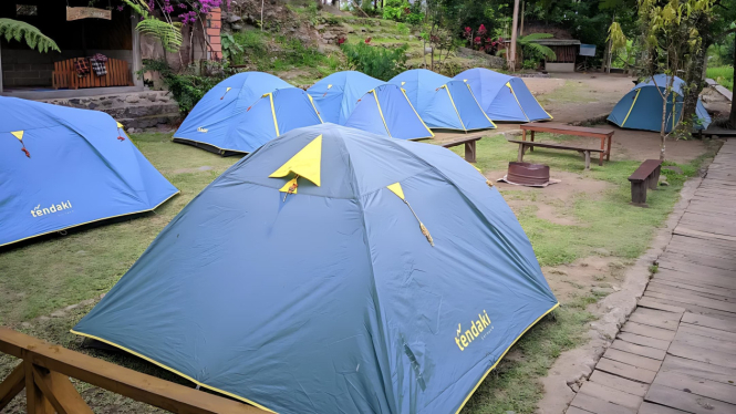 Siap berkemah dengan tenda berbaris rapi di Pinus Camp 2