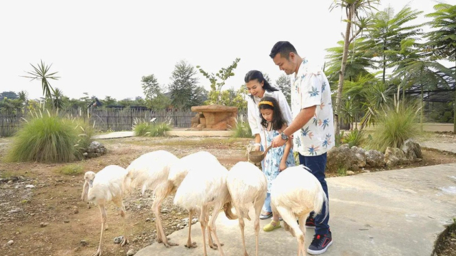 Feeding Animal di Aviary Bintaro Park Gallery Aviary Park Bintaro
