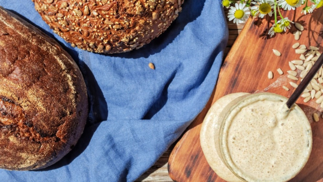 Cara bikin sourdough rumahan dengan starter alami.