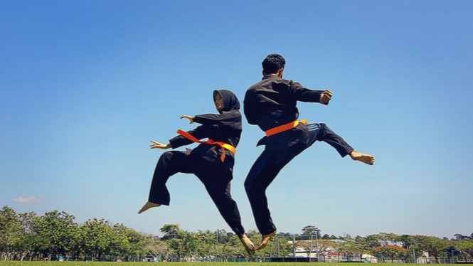 Jenis-jenis bela diri dari Indonesia