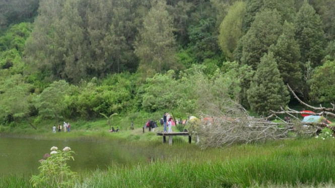 Salah satu spot healing di Ranu Regulo