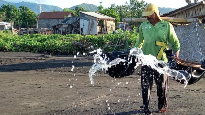 Petani Garam Kusamba Bali