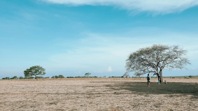 Taman Nasional Baluran bisa jadi pilihan saat