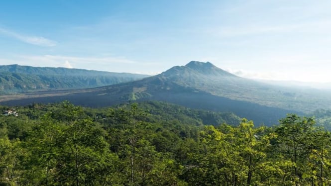 ilustrasi taman nasional