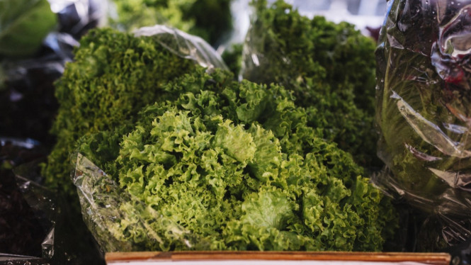 Kale renyah segar alami
