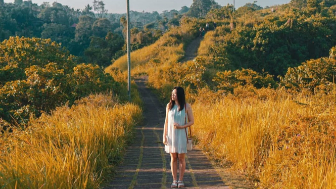 Bukit Campuhan, tempat wisata gratis di Bali