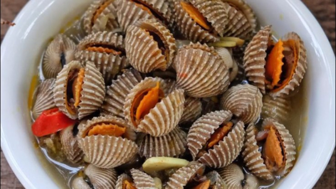 Resep kerang dara rebus sederhana