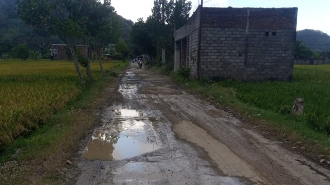 Jalan ke desa Janti rusak parah, berlubang dan digenangi air