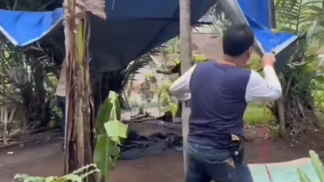 Judi sabung ayam diobrak polisi