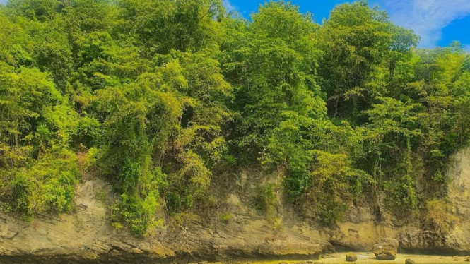 Keindahan pemandangan di sepanjang Pantai Tanjung Karang