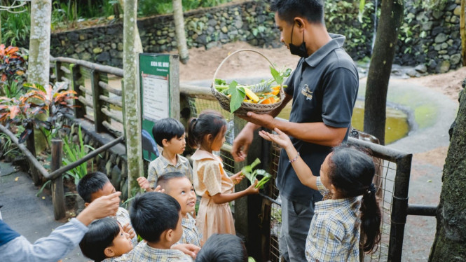 Pengunjung Memberi Makan Hewan dengan Fruit Basket