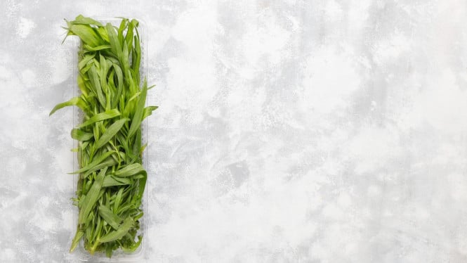 Ilustrasi sayur kangkung untuk menu masakan