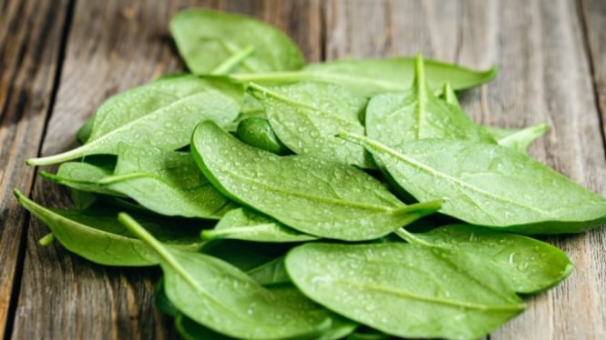Konsumsi sayur bayam dapat membantu cegah anemia