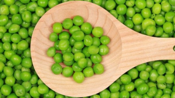 Mengenal kacang polong