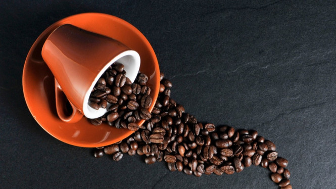 Kopi Luwak Terkenal Aman dan Nyaman untuk Lambung