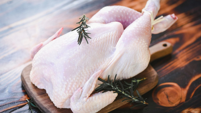 Daging ayam mentah yang siap diolah