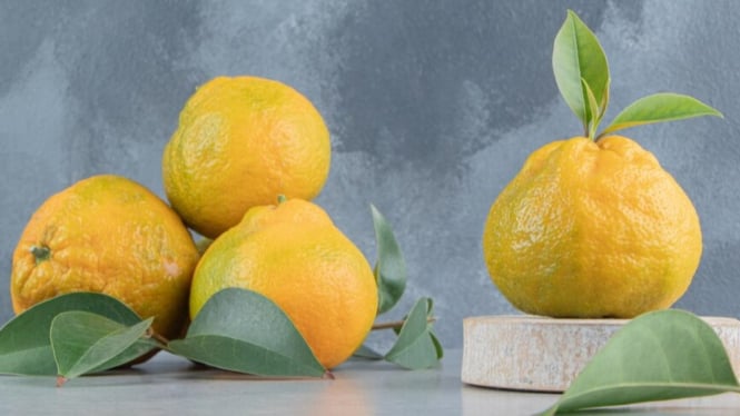 Yuzu, si jeruk ajaib
