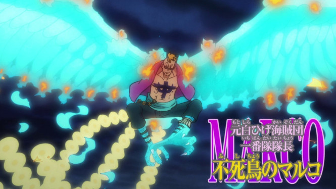 Marco, karakter anime One Piece