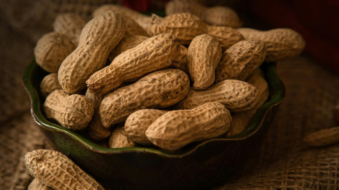 Manfaat kacang tanah yang baik bagi tubuh.