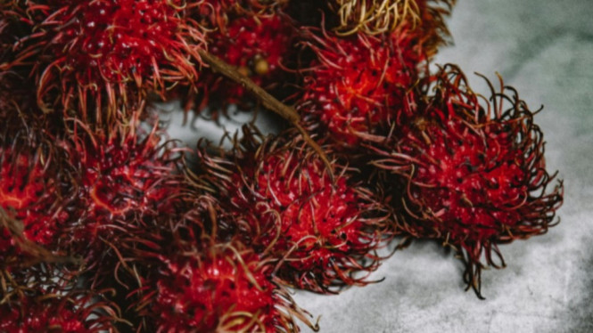 Konsumsi rambutan dapat lancarkan pencernaan