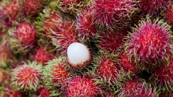 Buah rambutan yang enak dan kaya manfaat