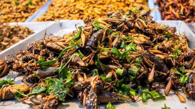 Serangga goreng makanan ekstrem yang bisa dijumpai di Thailand.