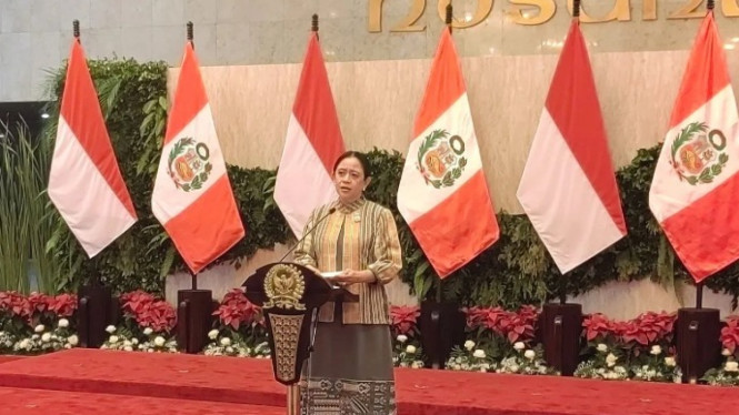 Puan Maharani minta kematian Prada Lucky jadi evaluasi TNI