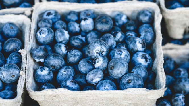 Blueberry Kaya Antioksidan untuk Melindungi Sel Otak