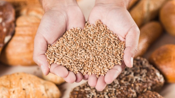 Apa itu gluten free, kenali sebelum diet