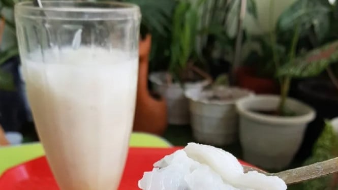 Es Kelapa Muda, Minuman Ajaib yang Segarnya