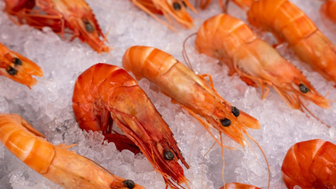 Cara menyimpan udang yang benar di kulkas.