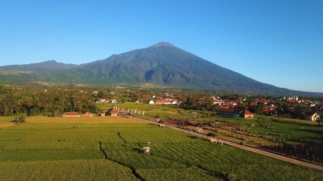 Sejuk dan Hijaunya Desa Wukirsari Yogyakarta