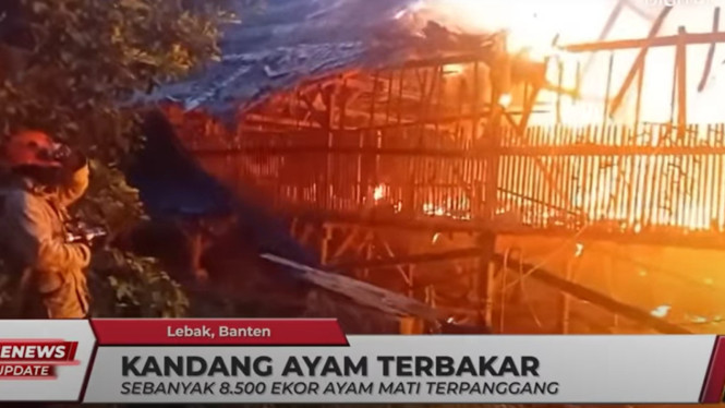 8.500 Ayam Mati Terpanggang