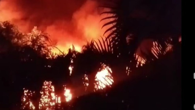 Gudang pot bunga di Sanur Kaja ludes terbakar