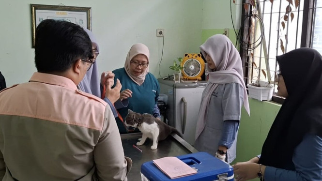 dinas peternakan jember gelar vaksinasi masal rabies
