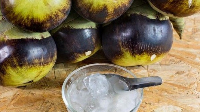 Legen, Minuman Penawar Dahaga di Tanah Tropis