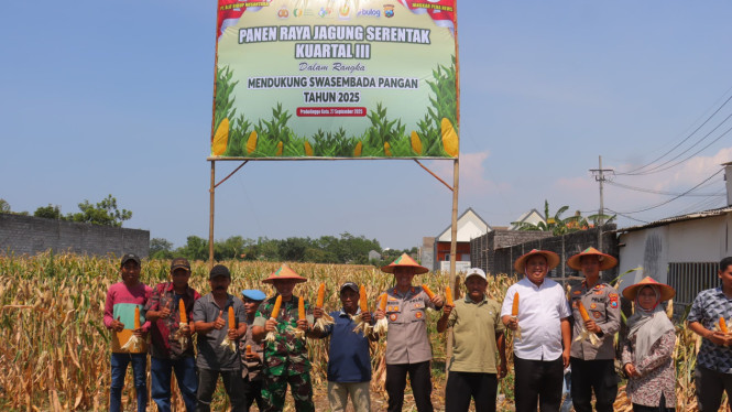 Panen Raya Jagung di Kota Probolinggo