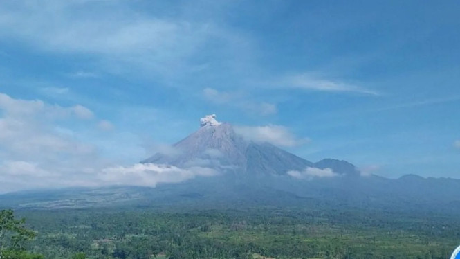 Gunung semeru kembali erupsi, kolom abu capai 600 meter