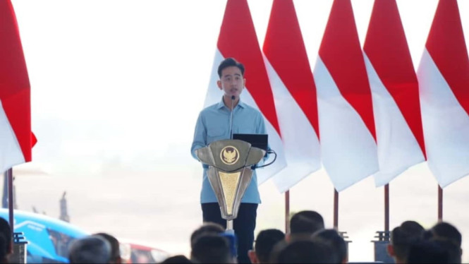 Presiden prabowo bentuk komite percepatan pembangunan papua