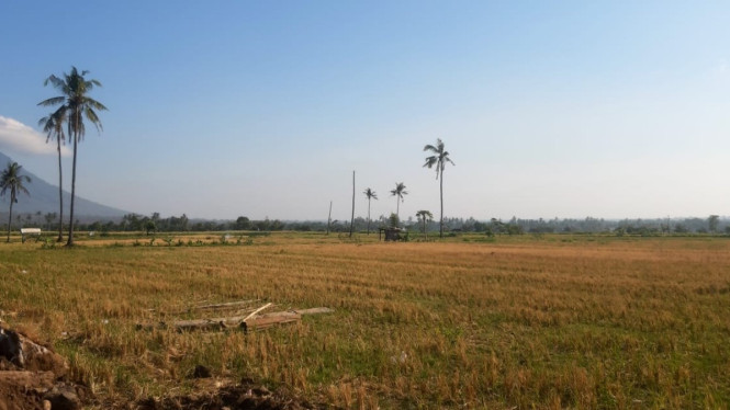 Lahan pertanian mati akibat pengeringan sungai DI Bajulmati