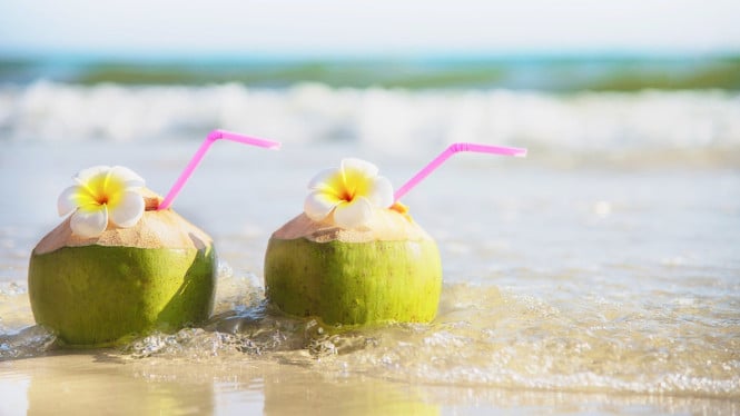 Es kelapa muda menjadi camilan segar dan enak