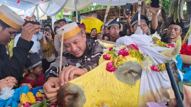Danlanal Banyuwangi Hadiri Petik Laut Mandar