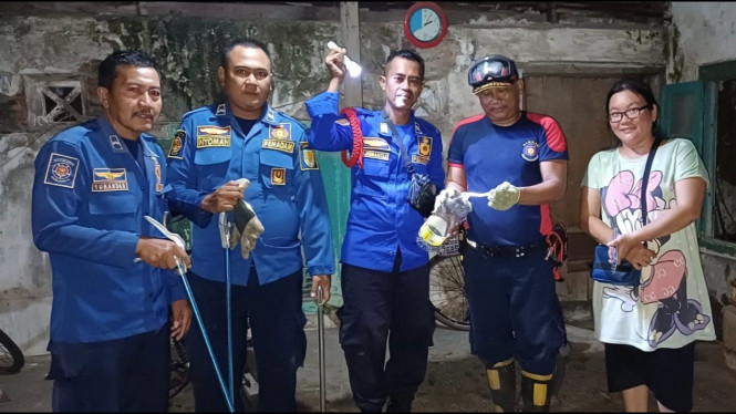 Evakuasi ular di jl. WR Soepratman